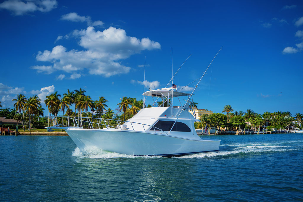 the ultimate fishing experience